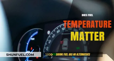 Fuel Temperature Impact: Does It Really Matter for Performance?