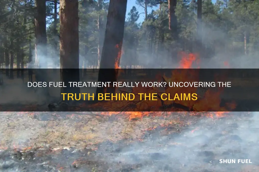 does fuel treatment actually work