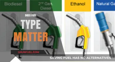 Does Fuel Type Matter? Exploring the Impact on Performance and Efficiency