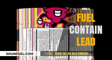 Does G Fuel Contain Lead? Uncovering the Truth About Ingredients