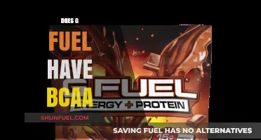 Does G Fuel Contain BCAA? Unveiling the Energy Drink's Ingredients