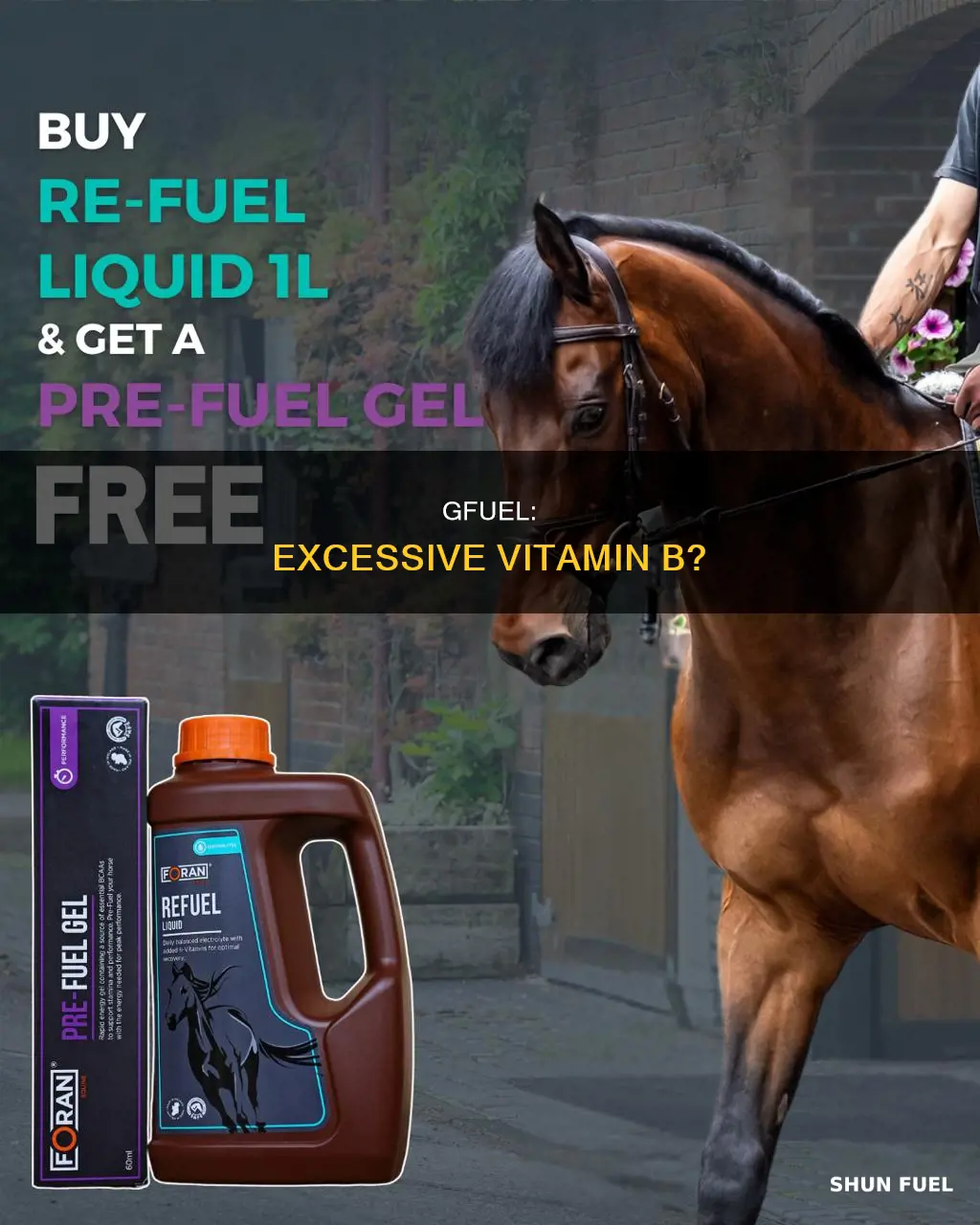 does g fuel have too much vitamin b in it