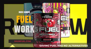 Does Gamer Fuel Really Boost Performance? A Critical Analysis