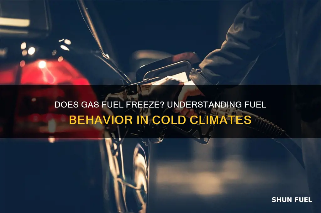 does gas fuel freeze