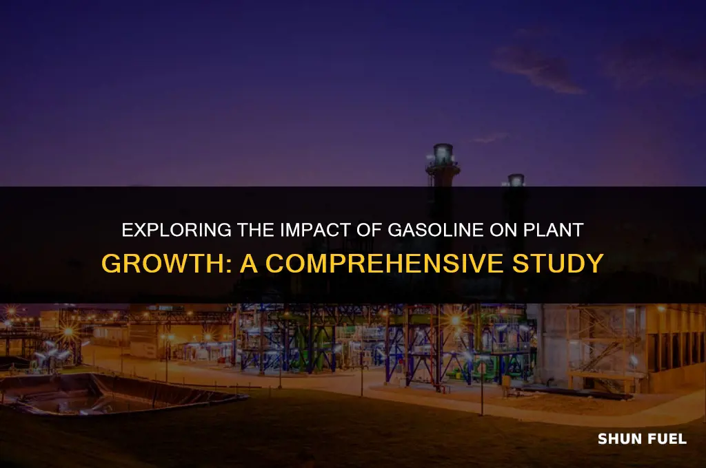 does gasoline affect plant growth