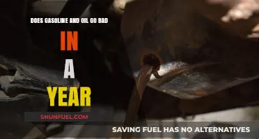 Does Gasoline and Oil Expire in a Year? Expert Insights