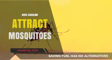 Does Gasoline Attract Mosquitoes? Unraveling the Myth