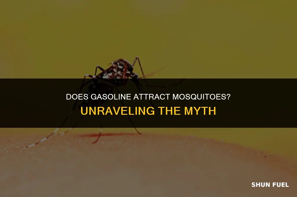 does gasoline attract mosquitoes