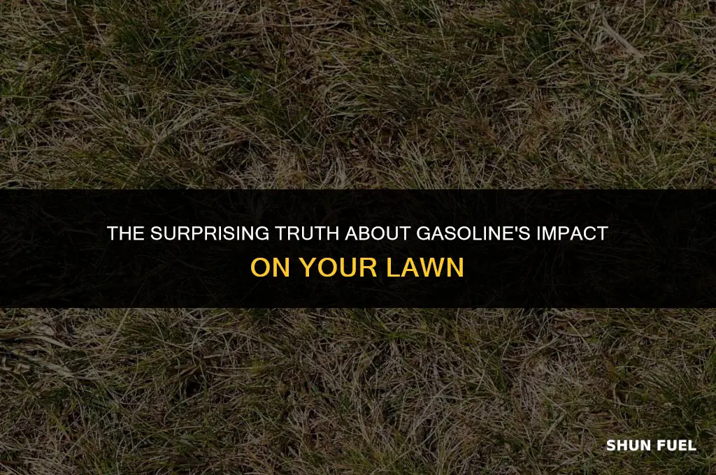 does gasoline burn grass