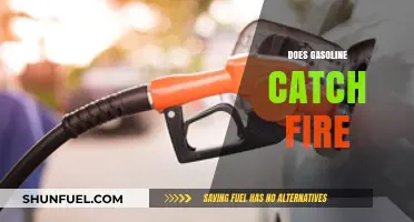 Exploring the Flammability of Gasoline: Facts and Safety Tips