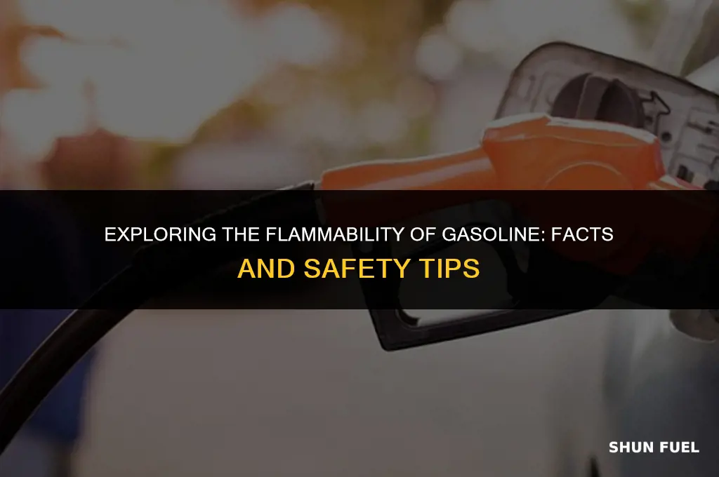does gasoline catch fire