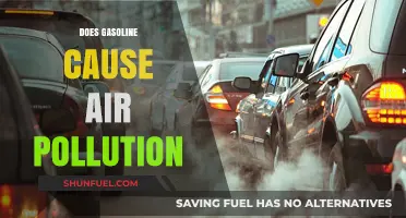 The Impact of Gasoline on Air Quality: A Comprehensive Analysis