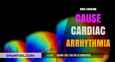 Exploring the Link Between Gasoline Exposure and Cardiac Arrhythmia