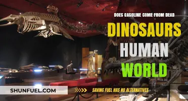 Fossil Fuels: The Ancient Origins of Our Modern Gasoline