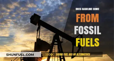 Unveiling the Origins: Does Gasoline Truly Come from Fossil Fuels?