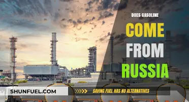 Unraveling the Global Gasoline Supply Chain: Russia's Role Explained