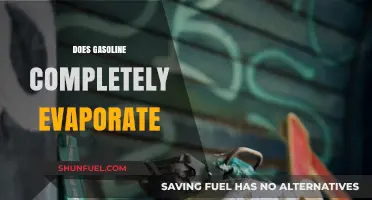 The Fate of Gasoline: Does It Completely Evaporate?