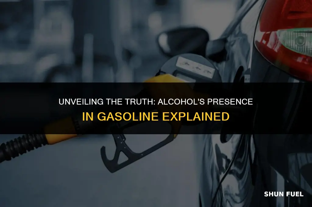 does gasoline contain alcohol