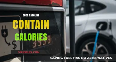 Exploring the Caloric Content of Gasoline: Facts and Myths