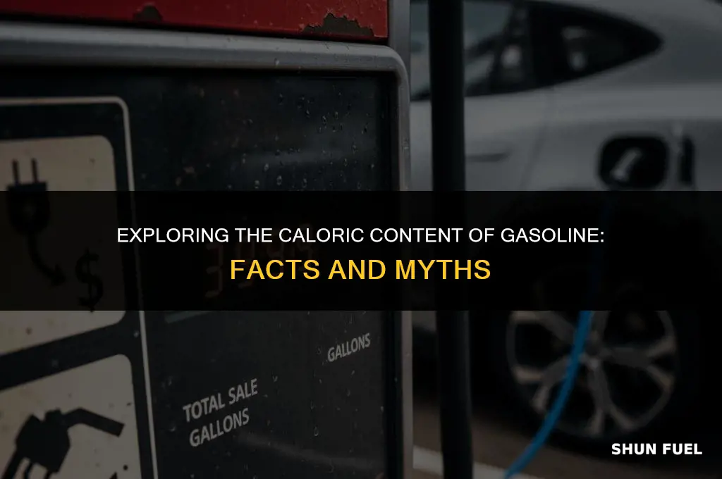 does gasoline contain calories