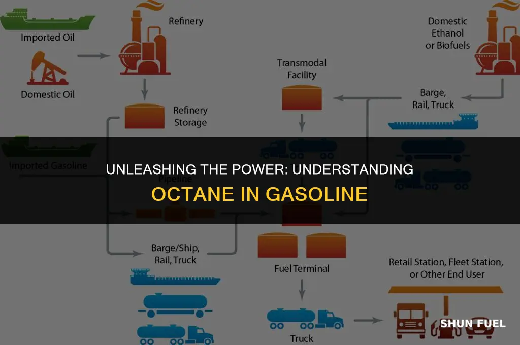 does gasoline contain octane