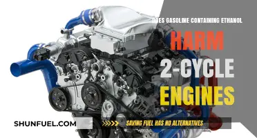 Ethanol in Gasoline: Potential Impact on Two-Cycle Engines