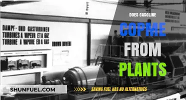 Exploring the Origins: Does Gasoline Really Come from Plants?