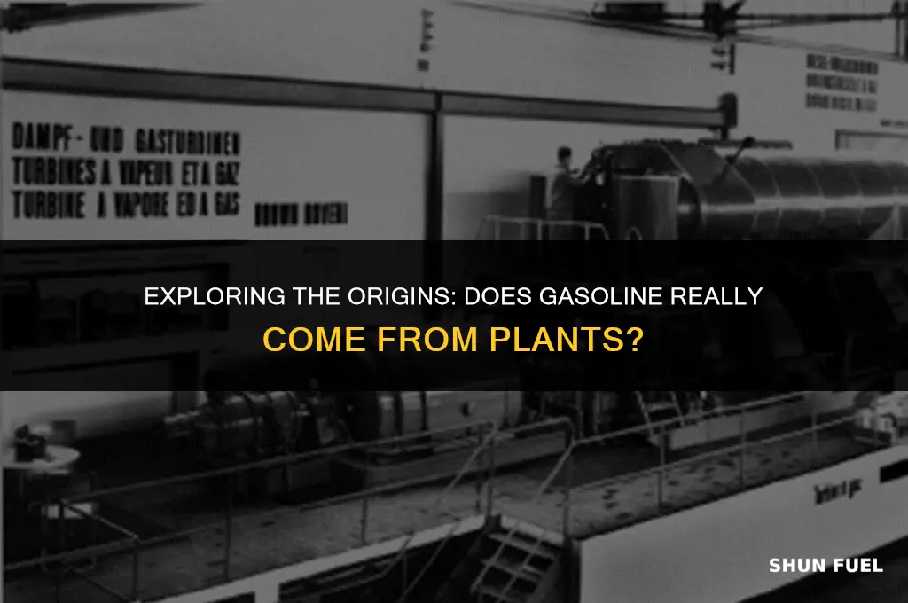 does gasoline copme from plants