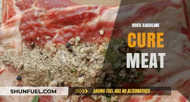Exploring the Myth: Can Gasoline Really Cure Meat?