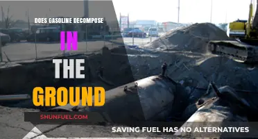 The Environmental Impact of Gasoline Decomposition Underground