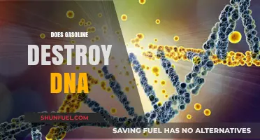 Unraveling the Myth: Gasoline's Impact on DNA Explained