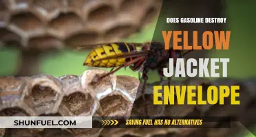 Will Gasoline Ruin Your Yellow Jacket's Waterproofing?