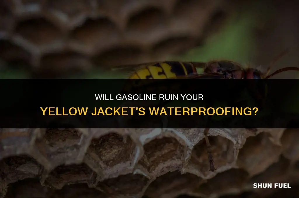 does gasoline destroy yellow jacket envelope