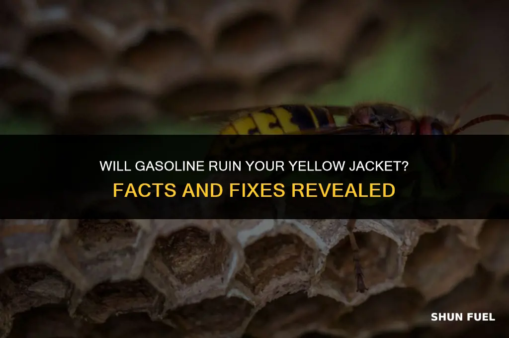 does gasoline destroy yellow jacket evelope