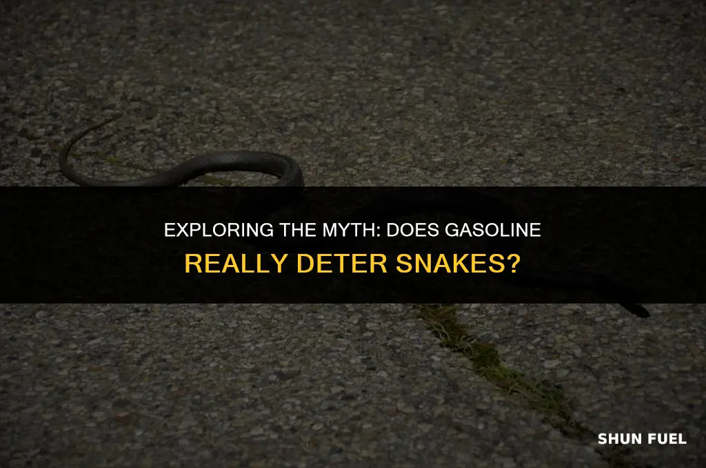 does gasoline deter snakes