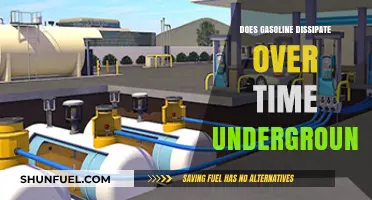 The Fate of Buried Gasoline: Does It Dissipate Underground?