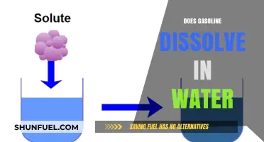 Exploring the Science: Does Gasoline Dissolve in Water?
