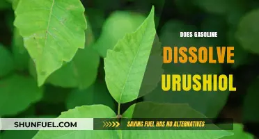 Exploring the Solubility of Urushiol in Gasoline: Facts and Myths