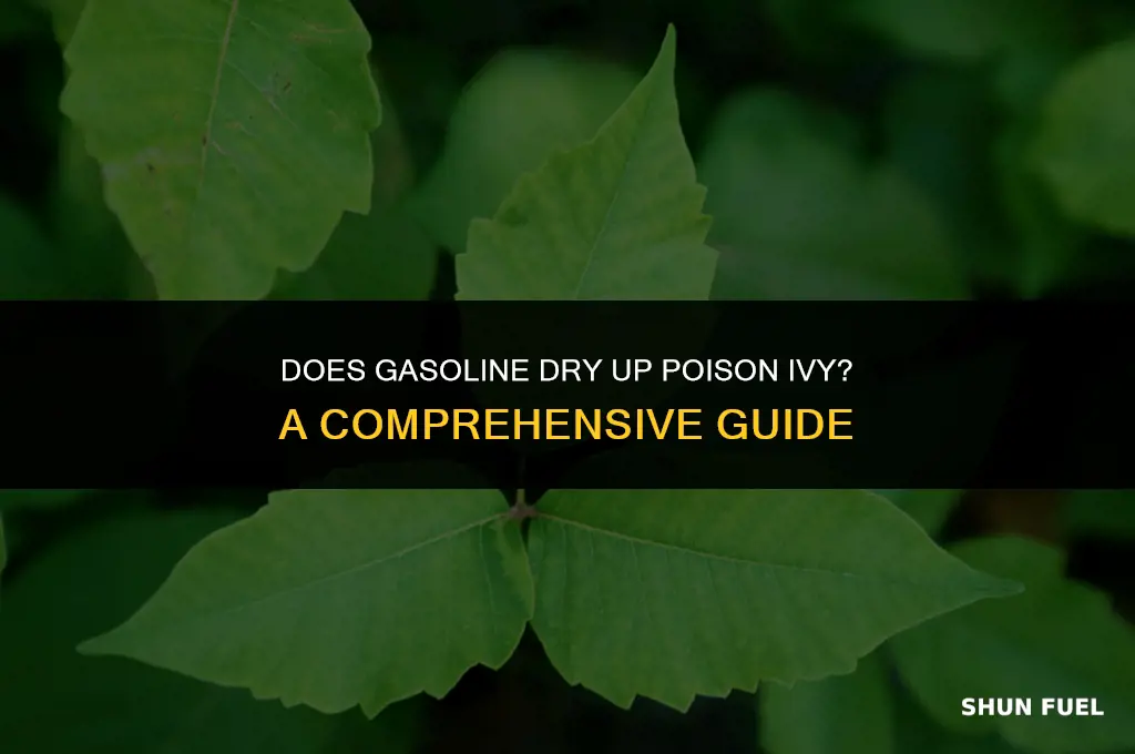 does gasoline dry up poison ivy