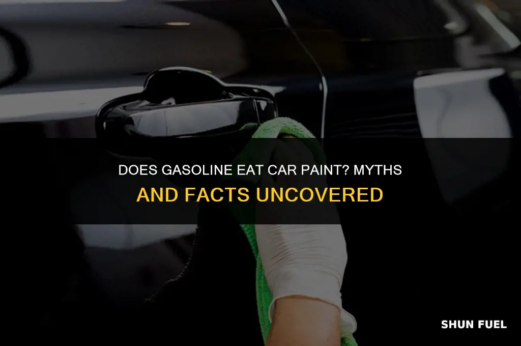 does gasoline eat car paint