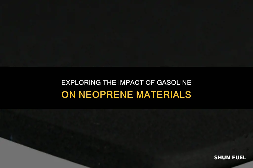 does gasoline effect neoprene