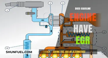 Decoding EGR Systems: Do Gasoline Engines Have EGR?