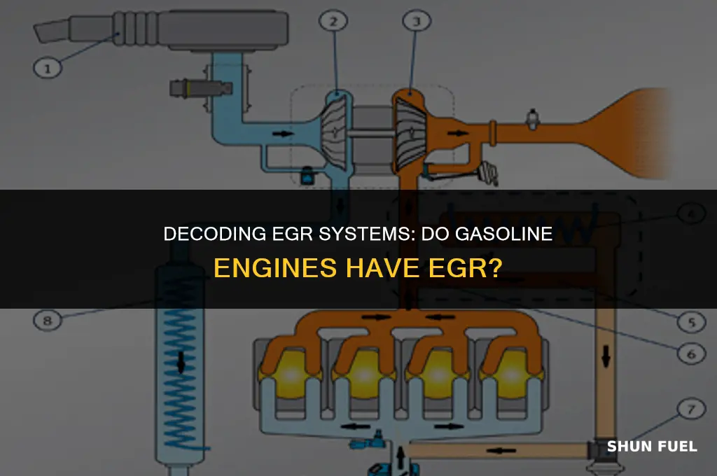 does gasoline engine have egr