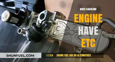 Exploring the Components: Does a Gasoline Engine Have an EGR System?