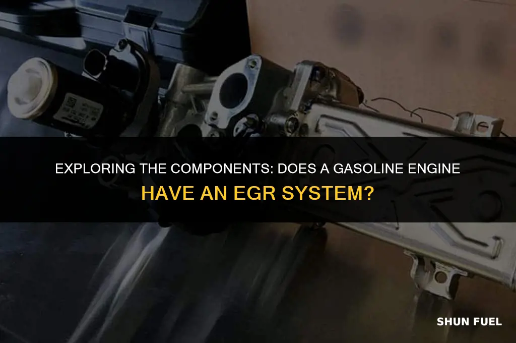 does gasoline engine have etc