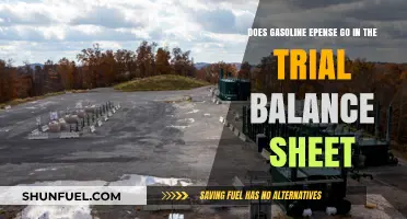 Decoding Gasoline Expenses: A Guide to Trial Balance Sheet Entries