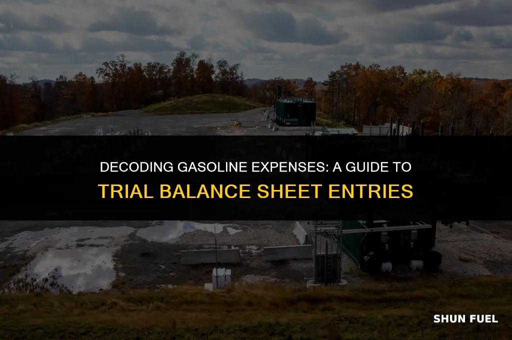 does gasoline epense go in the trial balance sheet