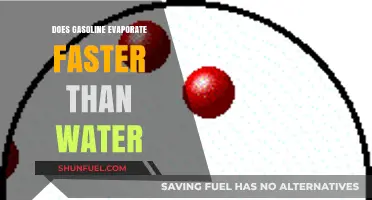 Exploring Evaporation Rates: Gasoline vs. Water