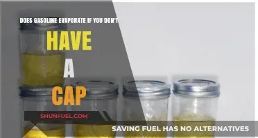 Fuel for Thought: Gasoline Evaporation and the Missing Cap Mystery