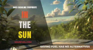 Sunlight's Impact: Does Gasoline Evaporate Under Solar Heat?